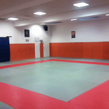 cropped-cropped-cropped-dojo.png